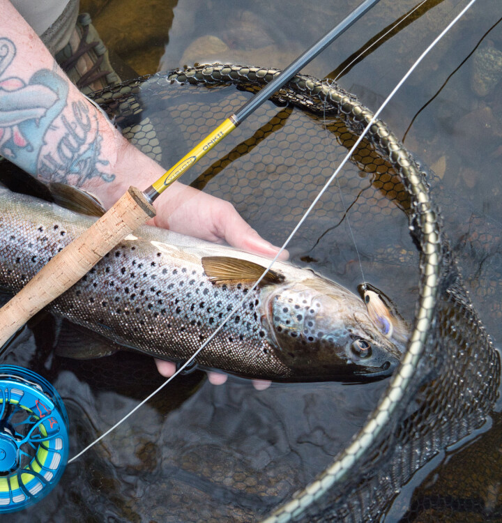 Fluen ingen kunne målbinde