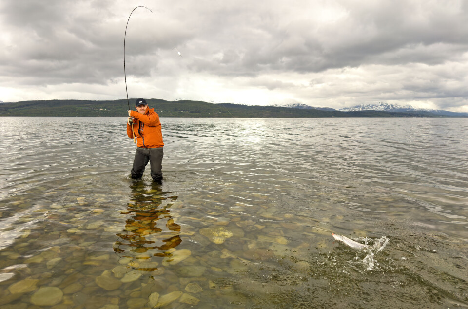 Duppene som redder fisketuren