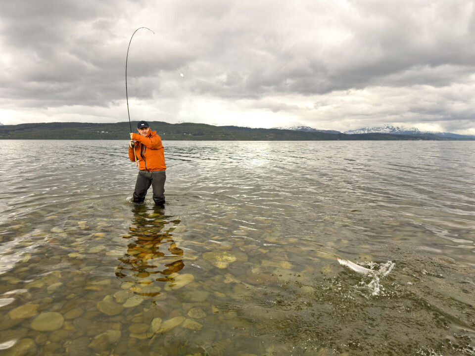 Her får du noen gode tips for å velge riktig dupp til ditt fiske. Her får du noen gode tips for å velge riktig dupp til fiske!