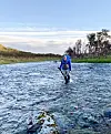 Øystein vender hver sommer tilbake til elvene på Varanger- halvøya.