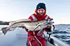 Turens største drar vekta ned til 3,5 kilo, men fisket har vært elendig til Osterfjorden å være, ifølge vår kjentmann