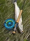 Vision Merisuola Fly Reel fiskesnelle! Her ved siden av en ørret som er tatt på fisketur.