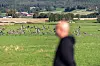 Ove Martin Gundersen har hatt et spesielt øye til gåsa, helt siden han skjøt sin første gås for 30 år siden.