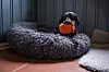 Jakter man ender, gjess eller duer bør man ha tilgang på apporterende hund, mener Svae, som selv holder seg med to labrador retrievere.