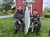 Et prakteksemplar på 19,5 kilo var årets største i Namsen, tatt i Krukåren 1. juni av Martin Traaset (t.v.) – med Kristian Saksvoll bak årene. Med drøyt 13 000 kilo fordelt på 4600 fisk, ble Namsen landets mest fangstrike lakseelv, i år som i fjor.